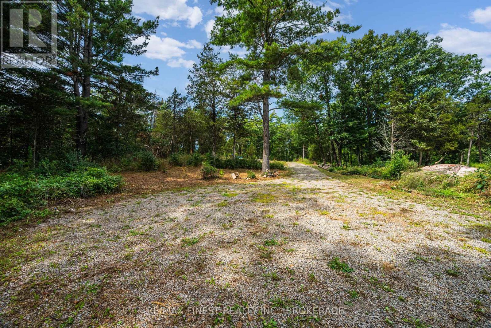 169 Old River Road, Leeds And The Thousand Islands, Ontario K0E 1R0 - Photo 10 - X13702214