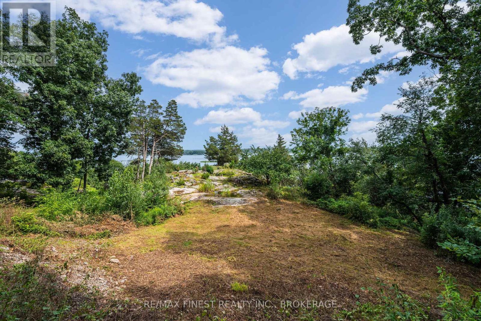 169 Old River Road, Leeds And The Thousand Islands, Ontario K0E 1R0 - Photo 11 - X13702214