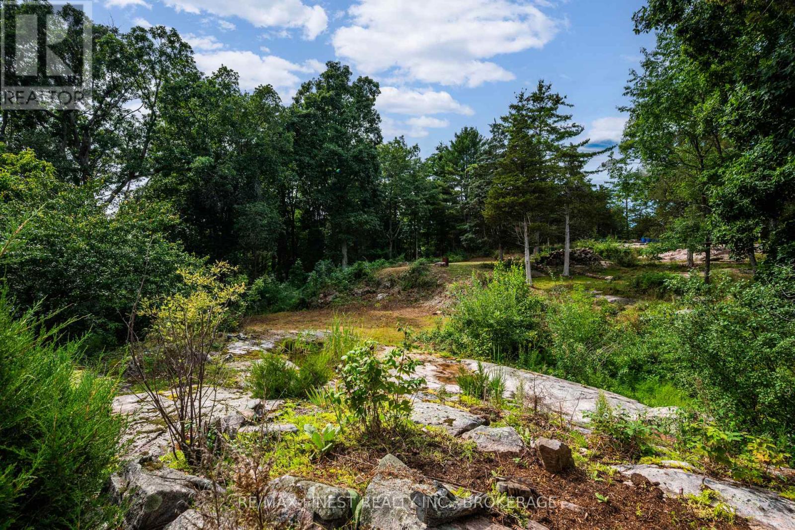 169 Old River Road, Leeds And The Thousand Islands, Ontario K0E 1R0 - Photo 13 - X13702214
