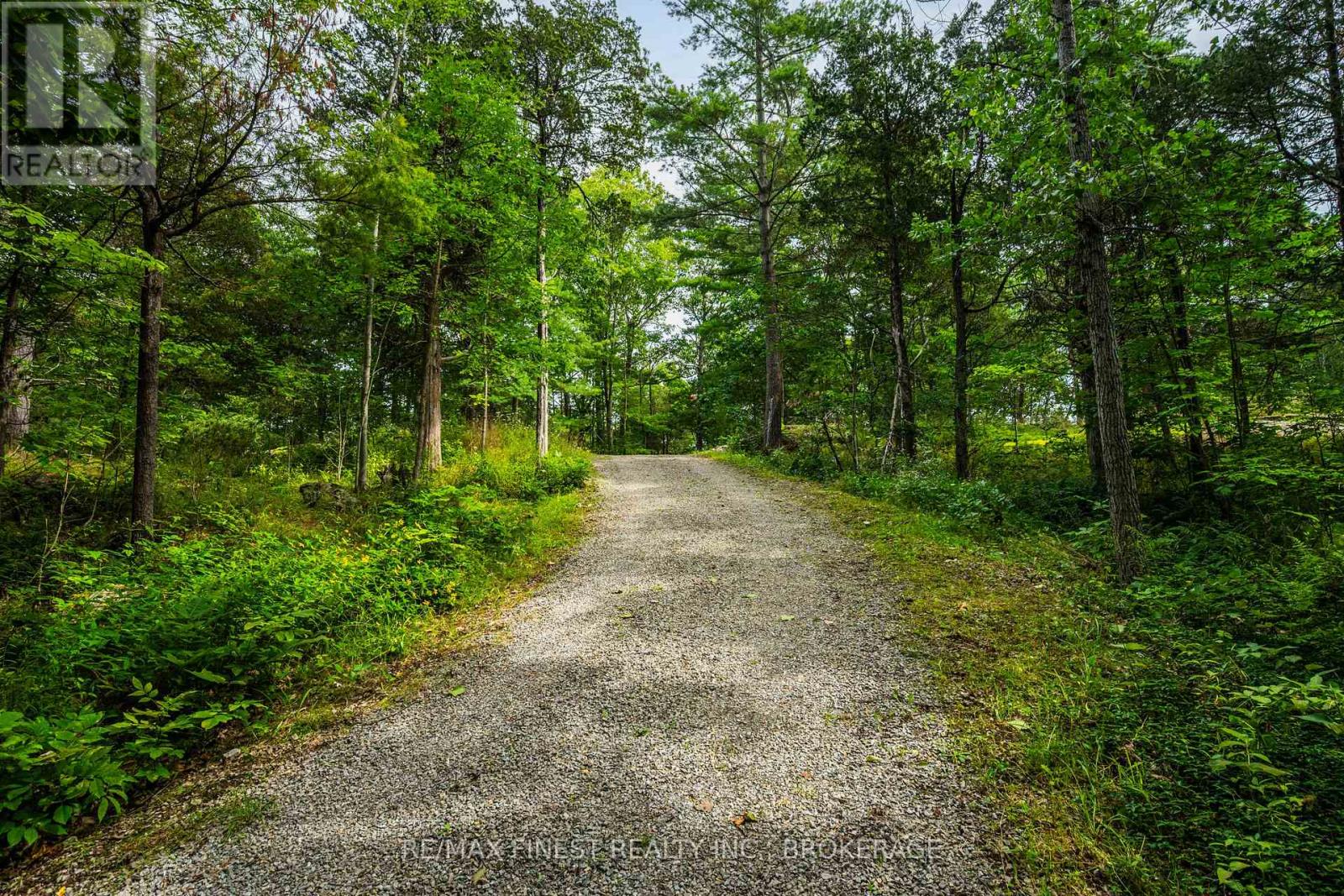 169 Old River Road, Leeds And The Thousand Islands, Ontario K0E 1R0 - Photo 3 - X13702214