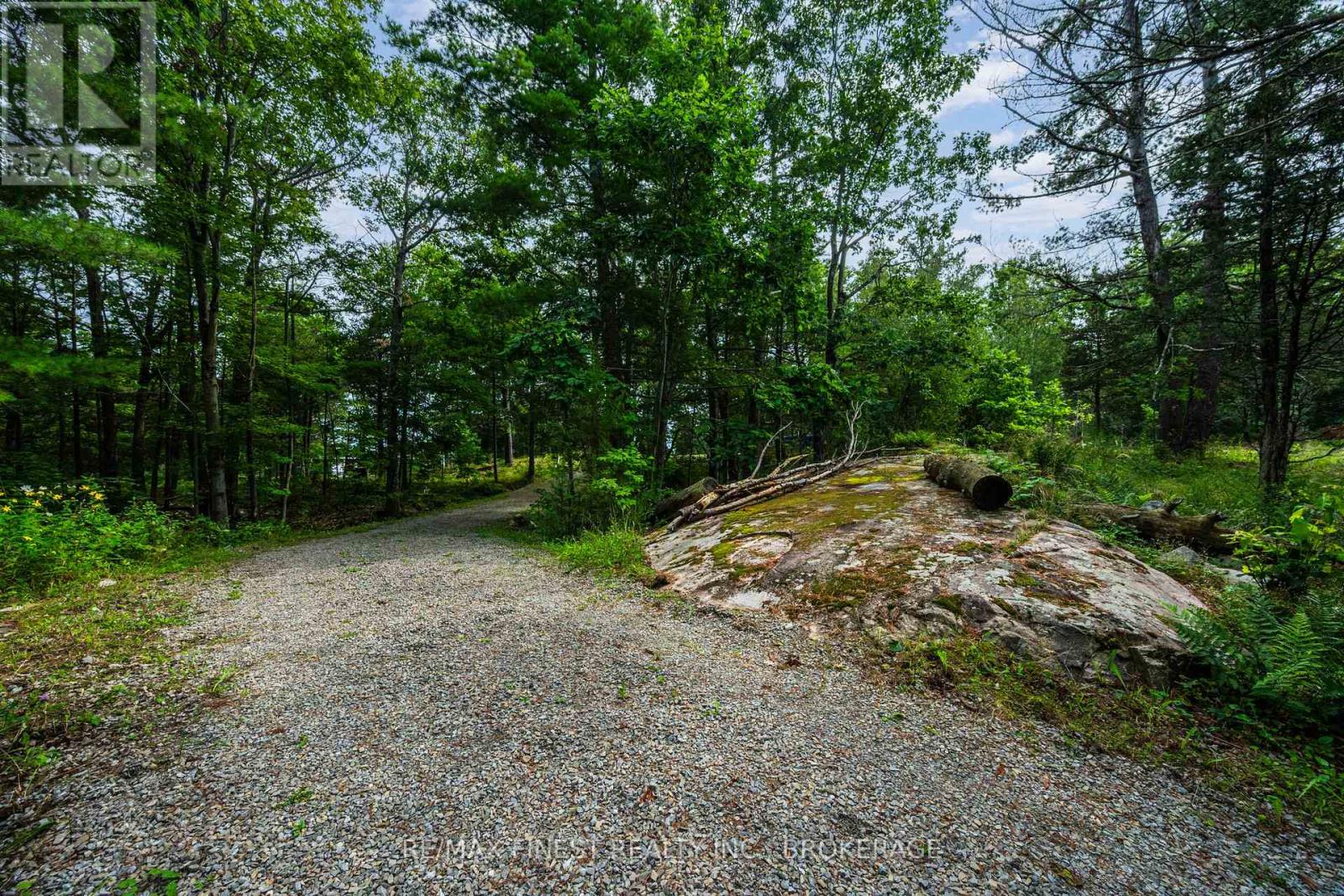 169 Old River Road, Leeds And The Thousand Islands, Ontario K0E 1R0 - Photo 4 - X13702214
