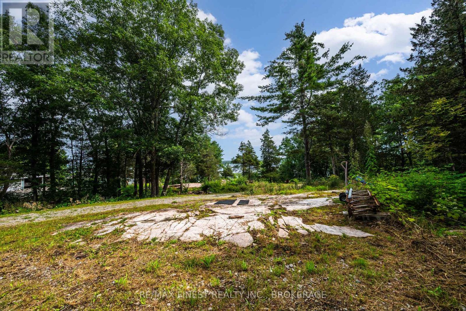 169 Old River Road, Leeds And The Thousand Islands, Ontario K0E 1R0 - Photo 6 - X13702214