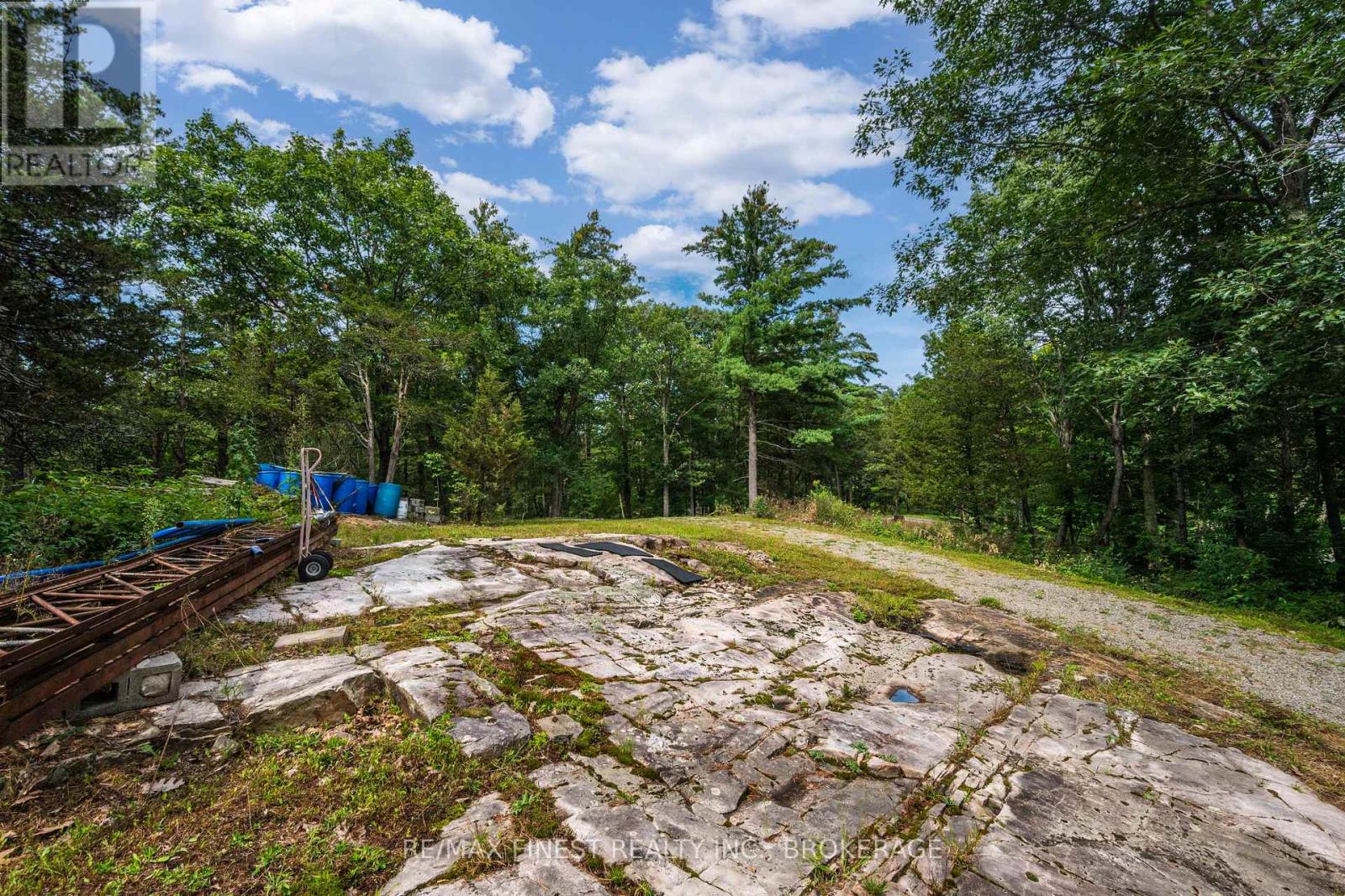 169 Old River Road, Leeds And The Thousand Islands, Ontario K0E 1R0 - Photo 7 - X13702214
