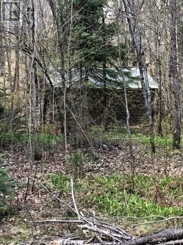 2595 Etwell Road, Huntsville, Ontario P0B 1M0 - Photo 1 - X12521014