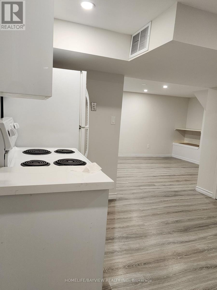 Basement - 45 French Crescent, East Gwillimbury, Ontario  L9N 1J8 - Photo 7 - N13632314
