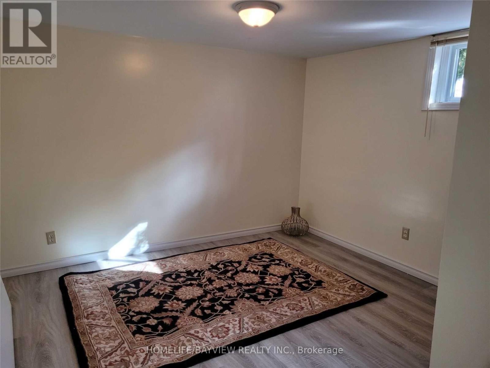 Basement - 45 French Crescent, East Gwillimbury, Ontario  L9N 1J8 - Photo 9 - N13632314