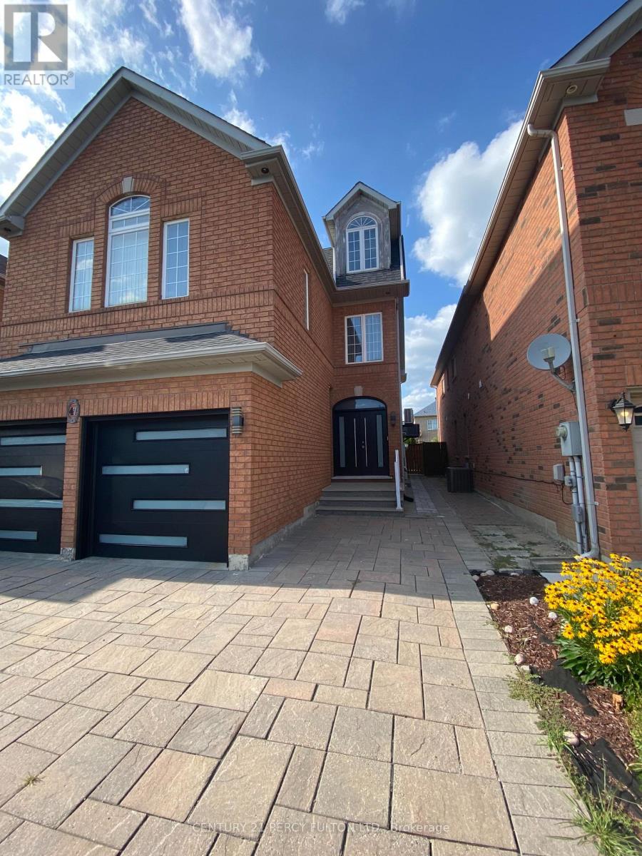 Bsmt - 47 Sapphire Drive, Richmond Hill, Ontario  L4S 2E5 - Photo 1 - N13701638