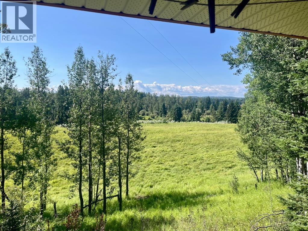 75033 Township Road 37-4, Rural Clearwater County, Alberta  T4T 1A4 - Photo 15 - A2338747