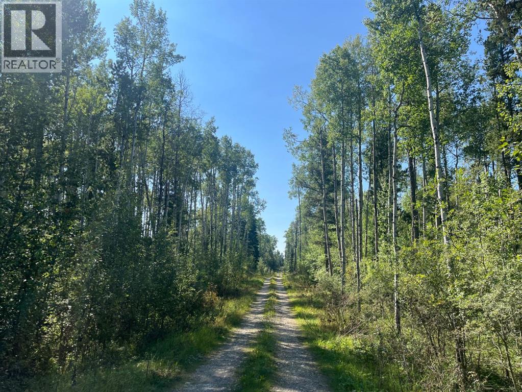 75033 Township Road 37-4, Rural Clearwater County, Alberta  T4T 1A4 - Photo 1 - A2338747