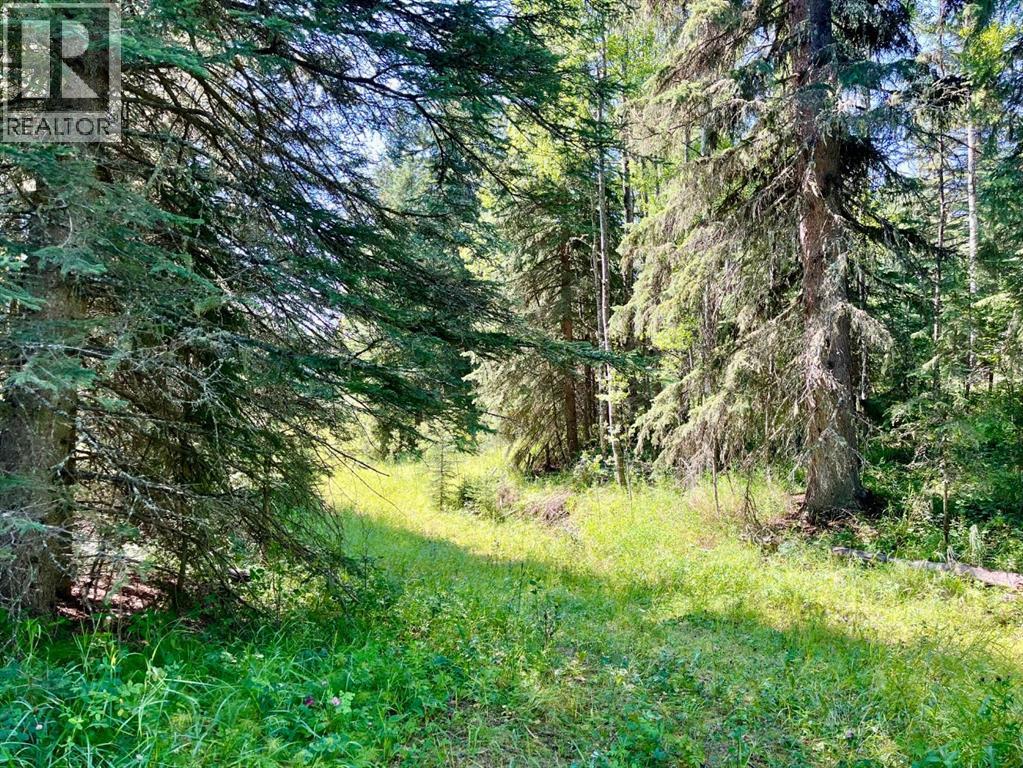 75033 Township Road 37-4, Rural Clearwater County, Alberta  T4T 1A4 - Photo 20 - A2338747