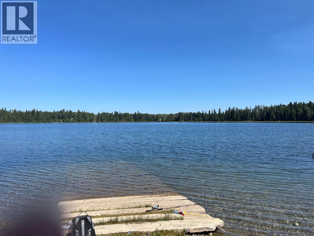 75033 Township Road 37-4, Rural Clearwater County, Alberta  T4T 1A4 - Photo 35 - A2338747