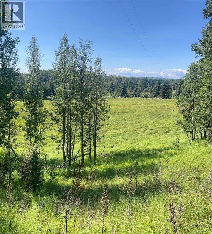 75033 Township Road 37-4, Rural Clearwater County, Alberta  T4T 1A4 - Photo 14 - A2338747
