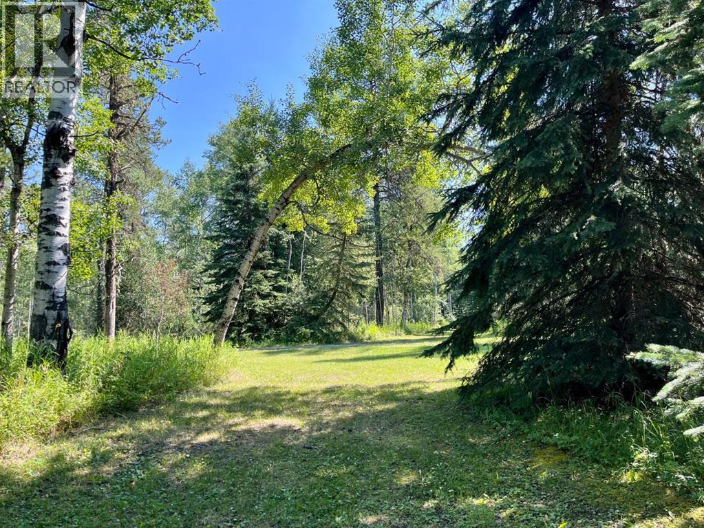 75033 Township Road 37-4, Rural Clearwater County, Alberta  T4T 1A4 - Photo 21 - A2338747