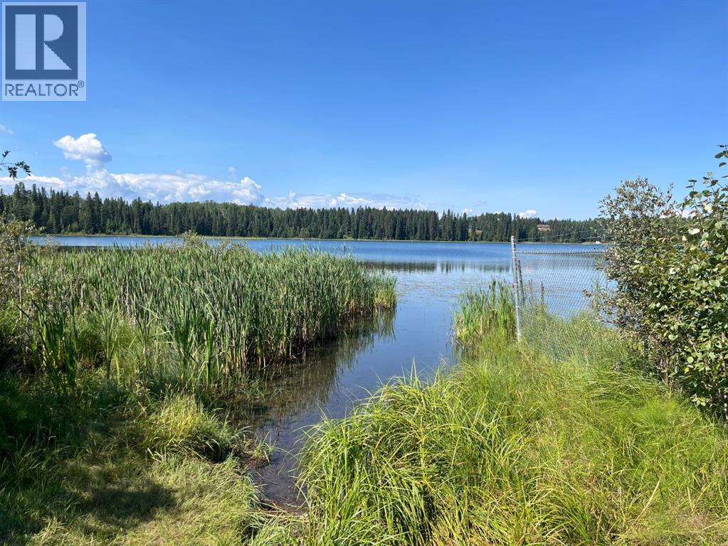 75033 Township Road 37-4, Rural Clearwater County, Alberta  T4T 1A4 - Photo 33 - A2338747