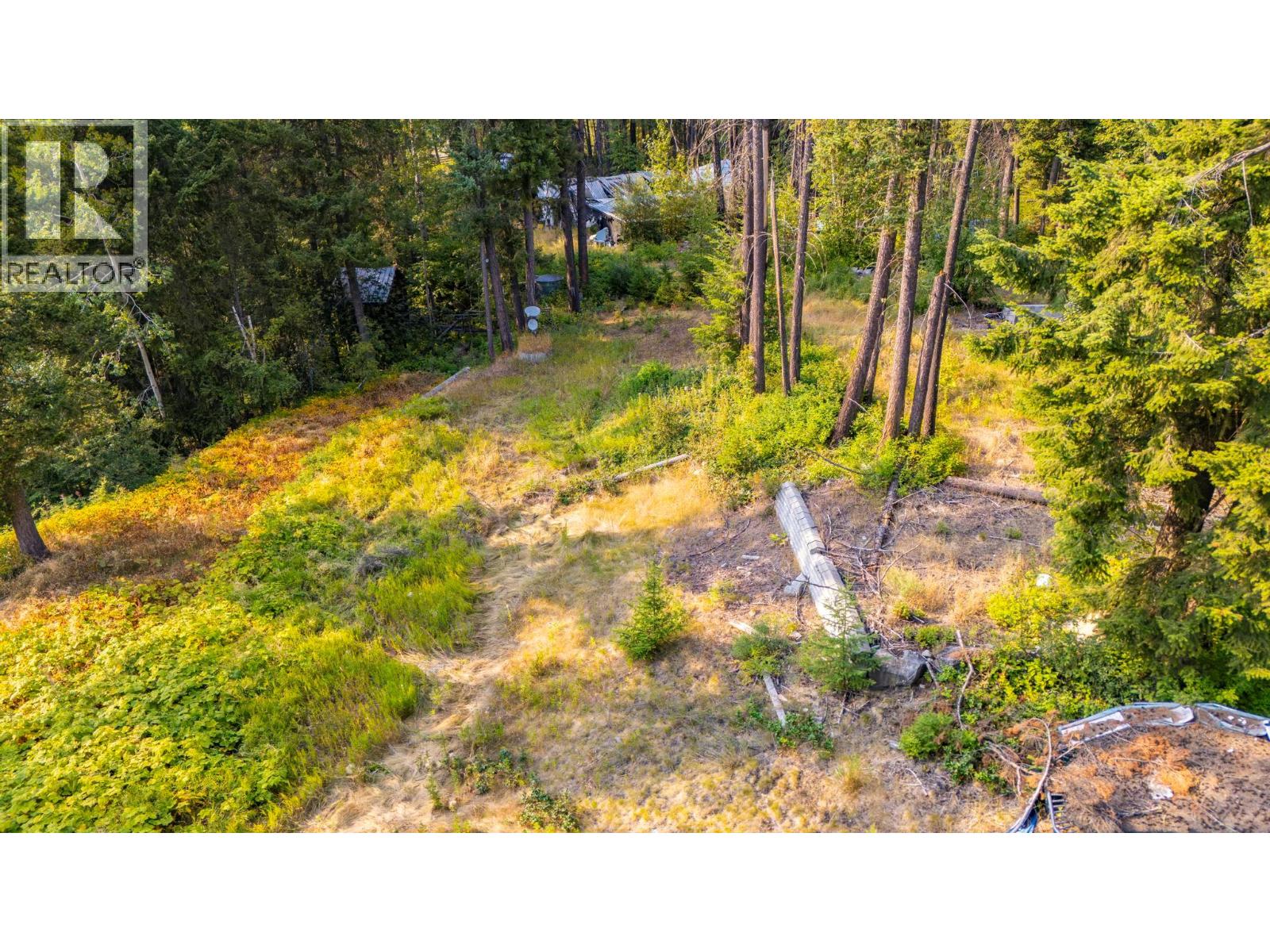 1396 Campbell Road, Golden, British Columbia  V0A 1H7 - Photo 14 - 10398160