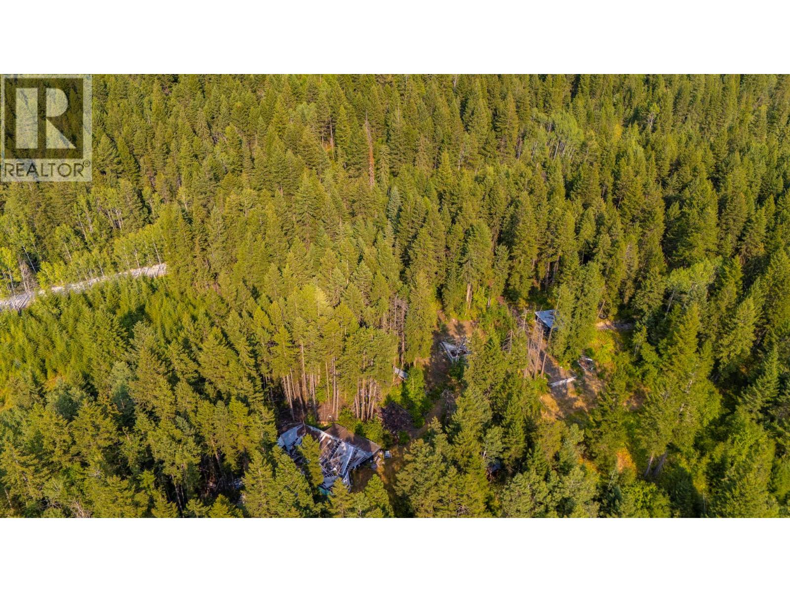 1396 Campbell Road, Golden, British Columbia  V0A 1H7 - Photo 9 - 10398160