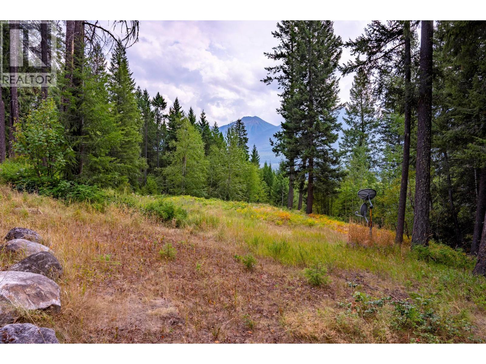 1396 Campbell Road, Golden, British Columbia  V0A 1H7 - Photo 40 - 10398160