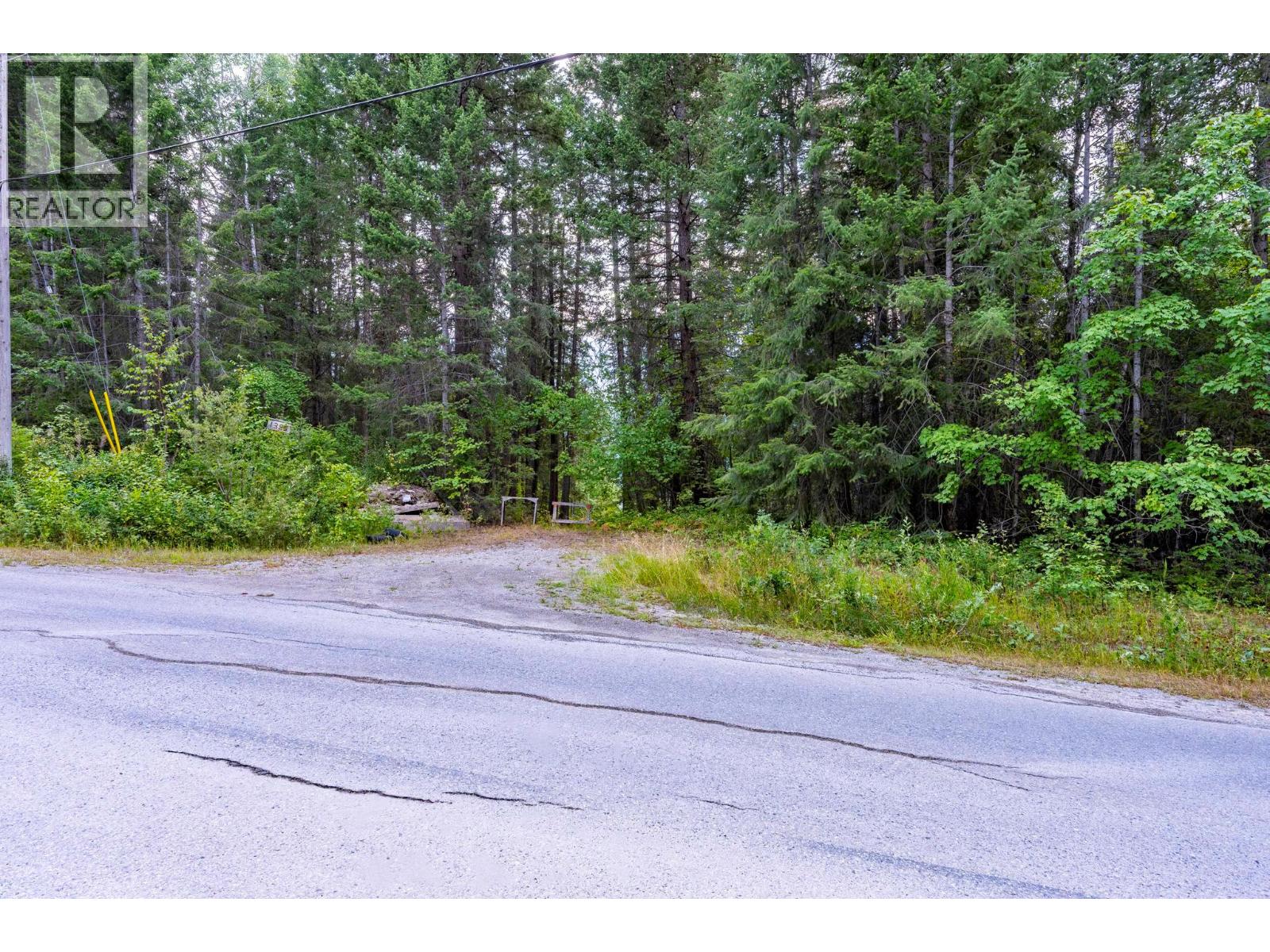 1396 Campbell Road, Golden, British Columbia  V0A 1H7 - Photo 59 - 10398160