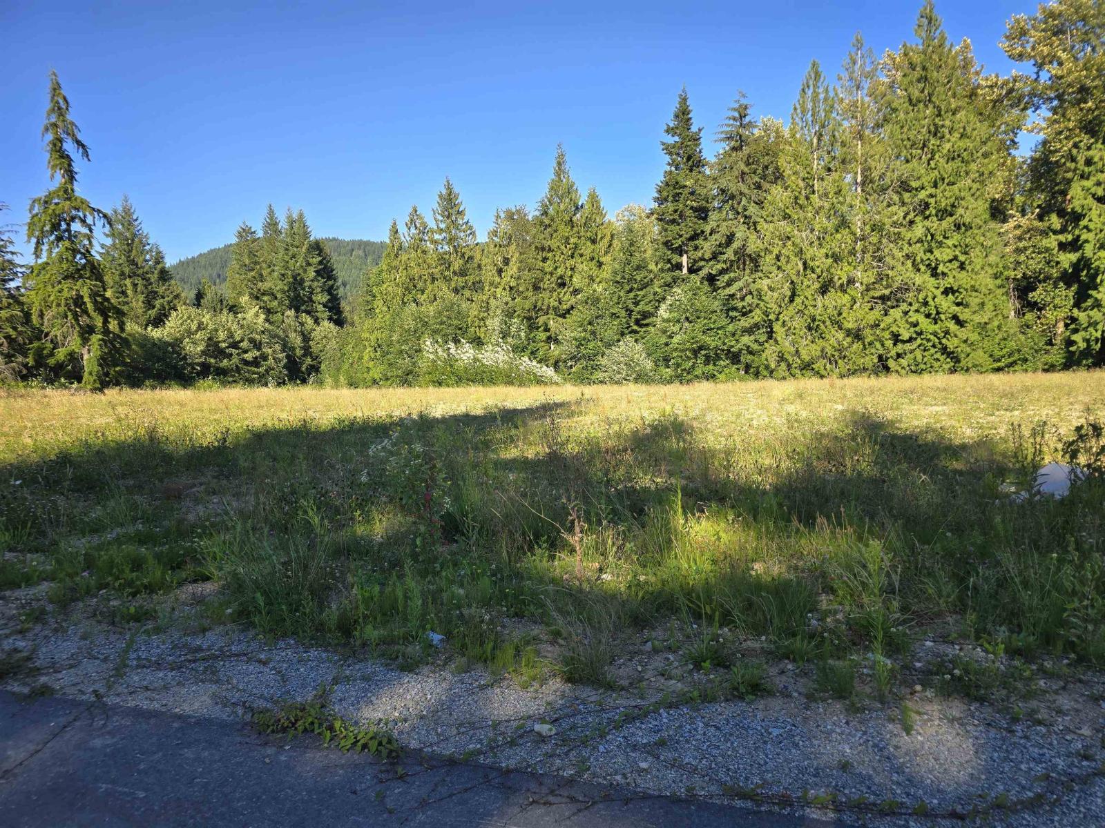 32221 Richards Avenue, Mission, British Columbia  V4S 1K8 - Photo 6 - R3151753