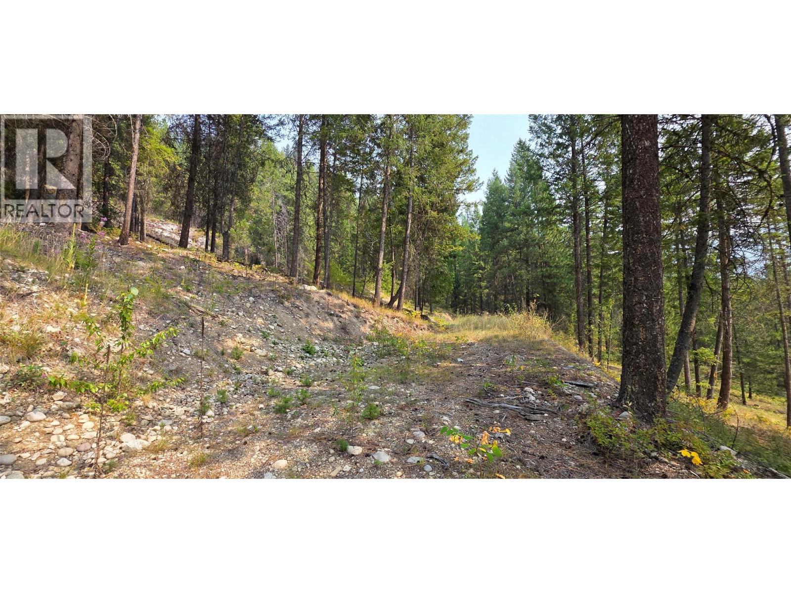 4820 Highway 33, Beaverdell, British Columbia  V0H 1A0 - Photo 80 - 10398038