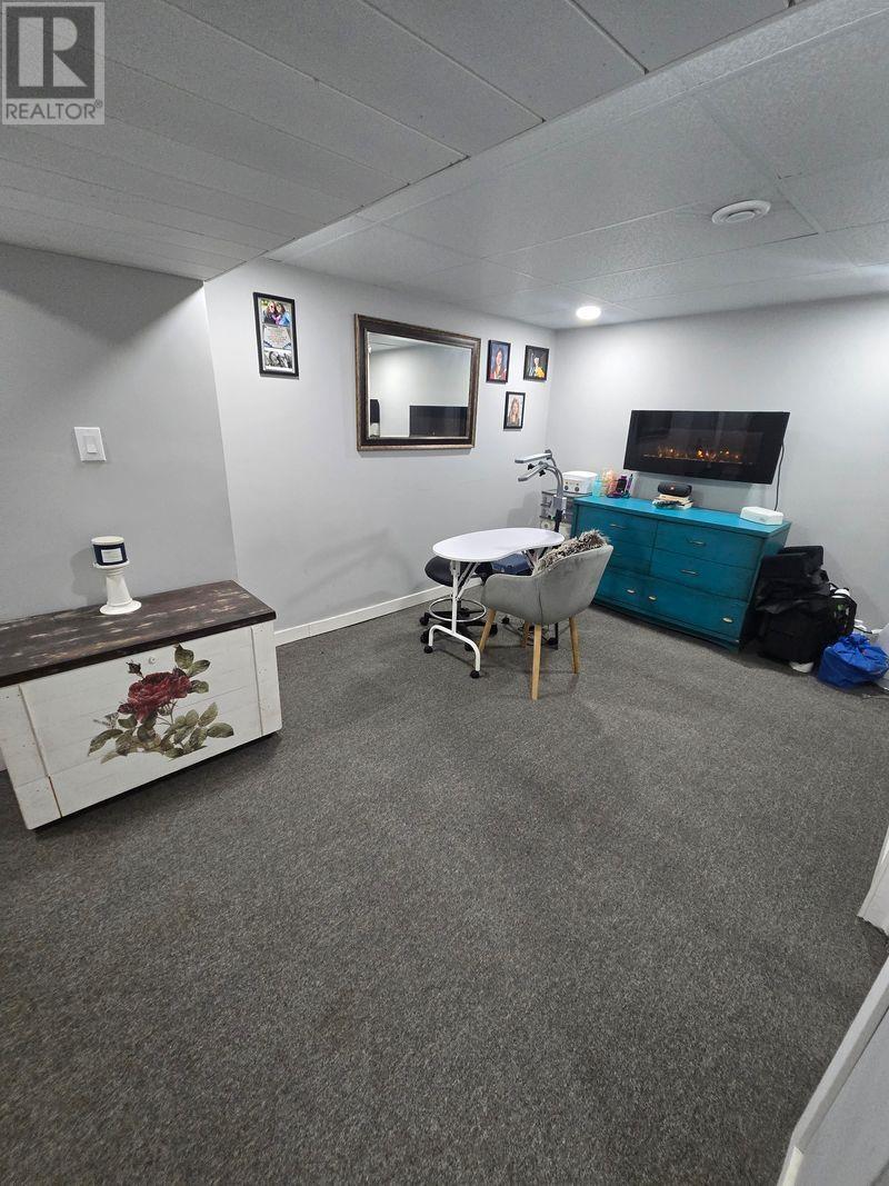 734 Franklin St S, Thunder Bay, Ontario  P7E 1R9 - Photo 41 - TB2602475