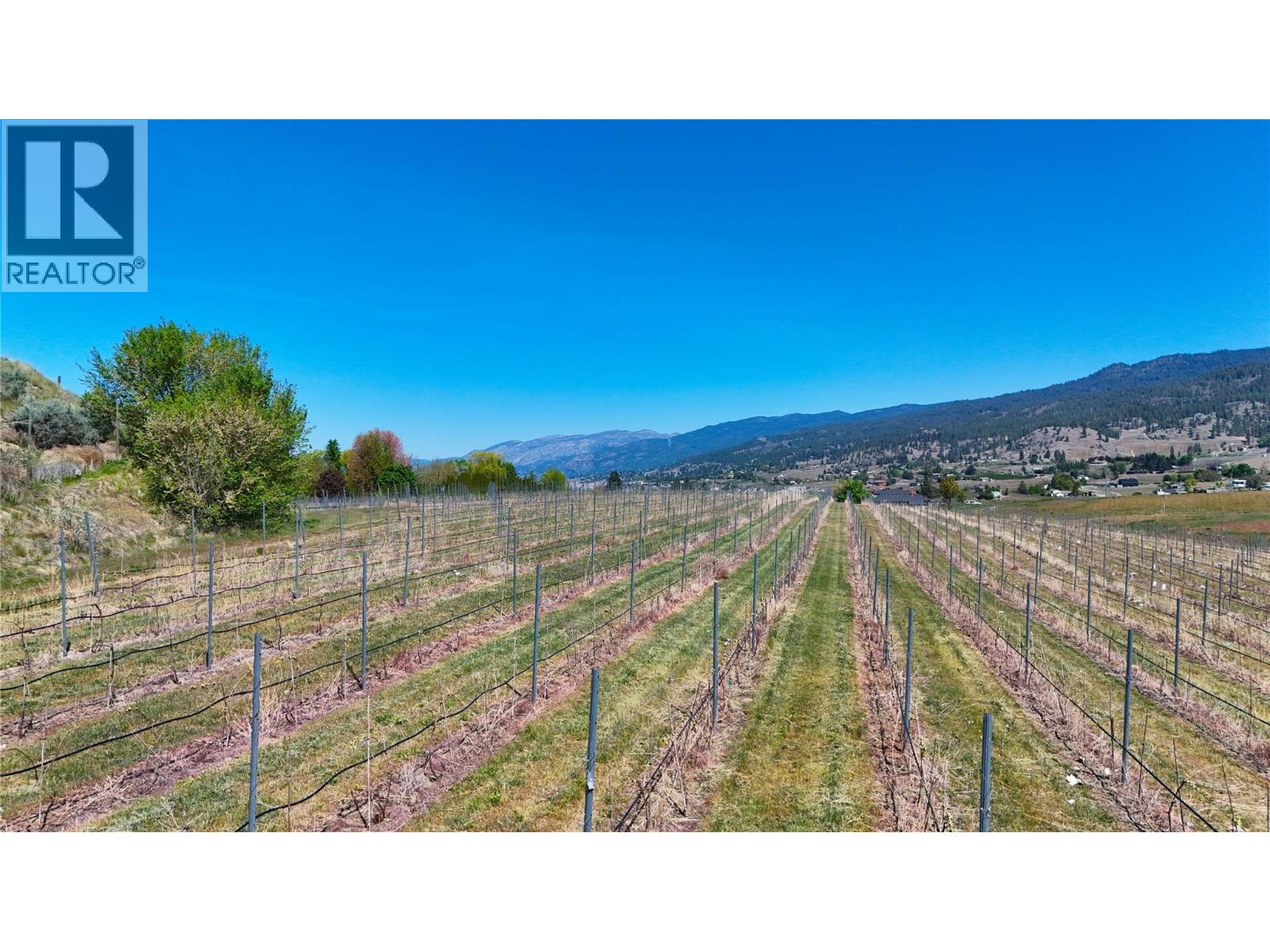 1170 Corbishley Avenue, Penticton, British Columbia  V2A 8V2 - Photo 4 - 10398187