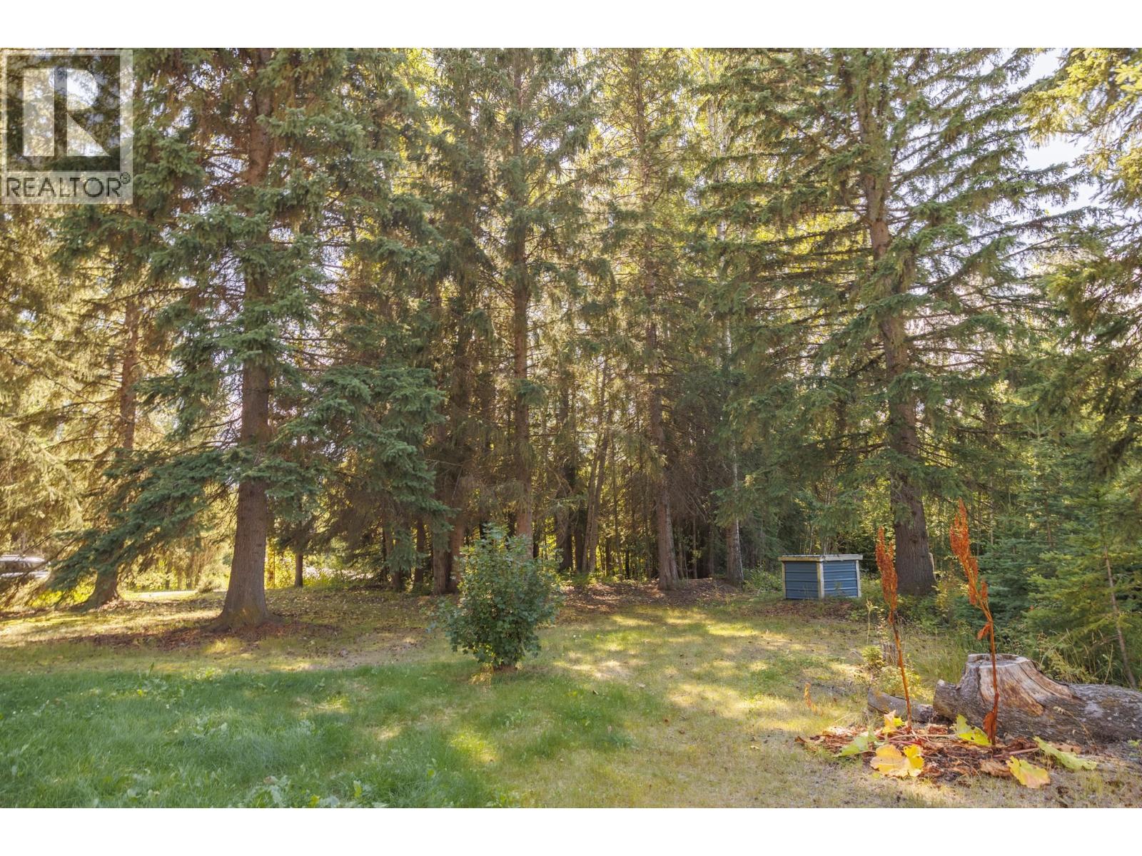 1475 Dorval Road, Mcbride, British Columbia  V0J 2E0 - Photo 5 - R3157950