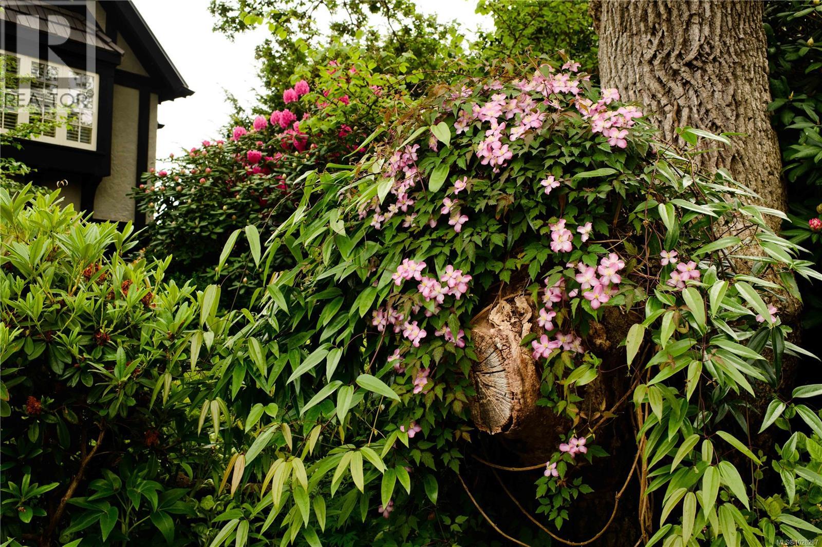 3475 Upper Terrace Rd, Oak Bay, British Columbia  V8R 6E6 - Photo 12 - 1028287