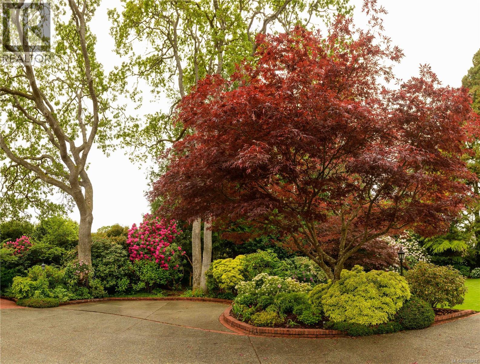 3475 Upper Terrace Rd, Oak Bay, British Columbia  V8R 6E6 - Photo 10 - 1028287