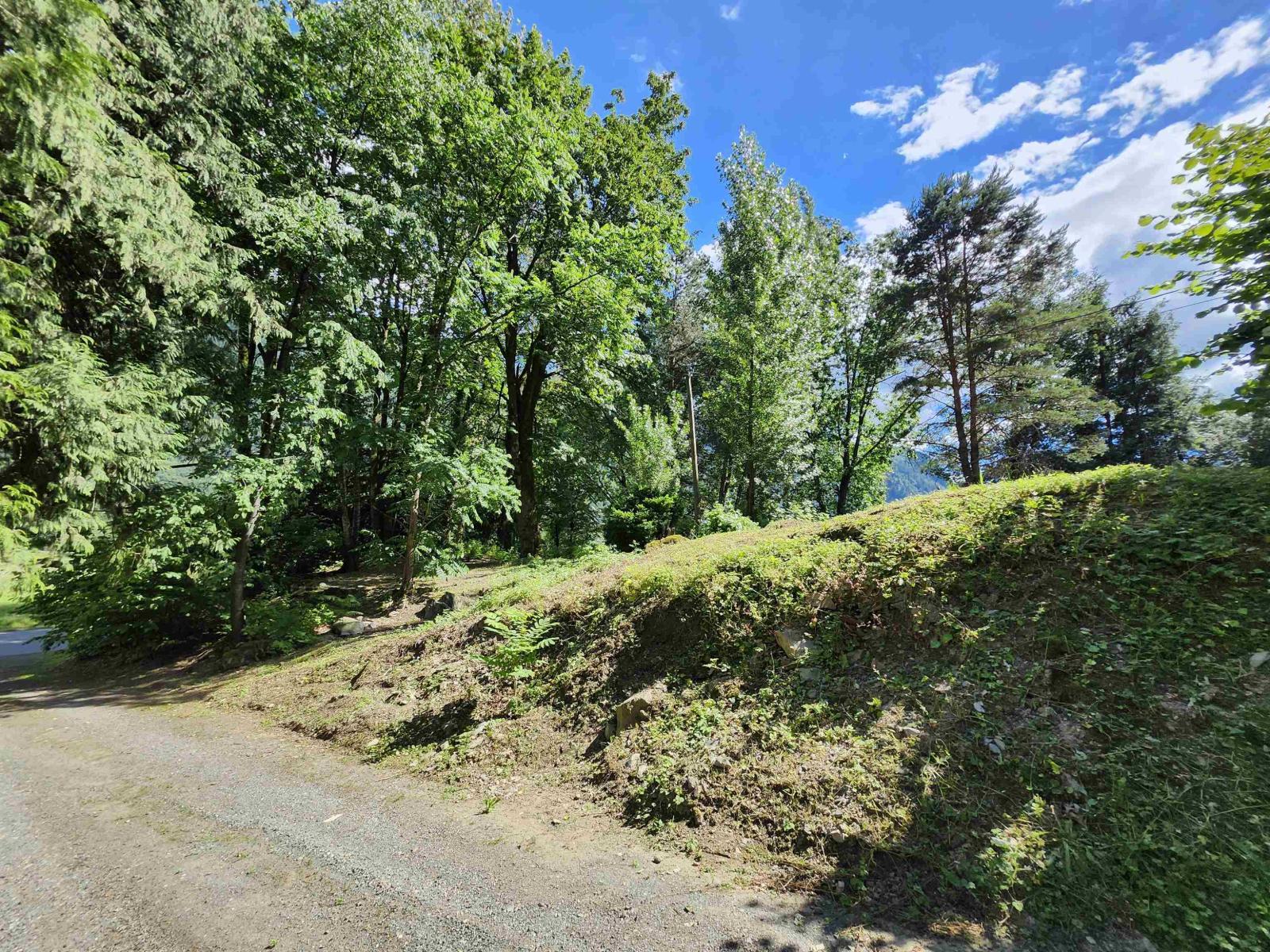 10821 N Popkum Road, Popkum, Rosedale, British Columbia  V0X 1X1 - Photo 7 - R3141973