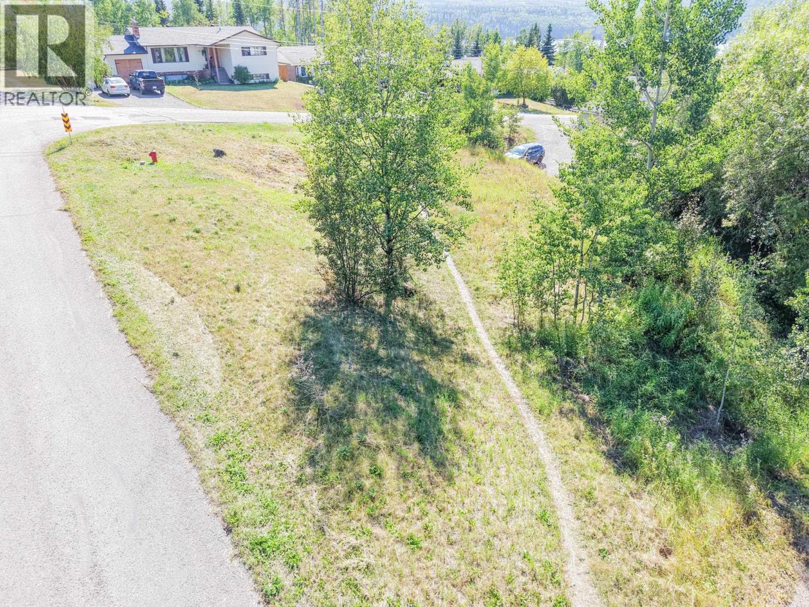 345 Hill Street, Burns Lake, British Columbia  V0J 1E0 - Photo 4 - R3157945