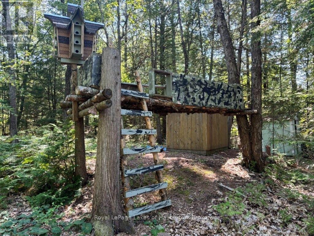 481 Crego Lake Road, Kawartha Lakes (Somerville), Ontario  K0M 2A0 - Photo 42 - X13702802