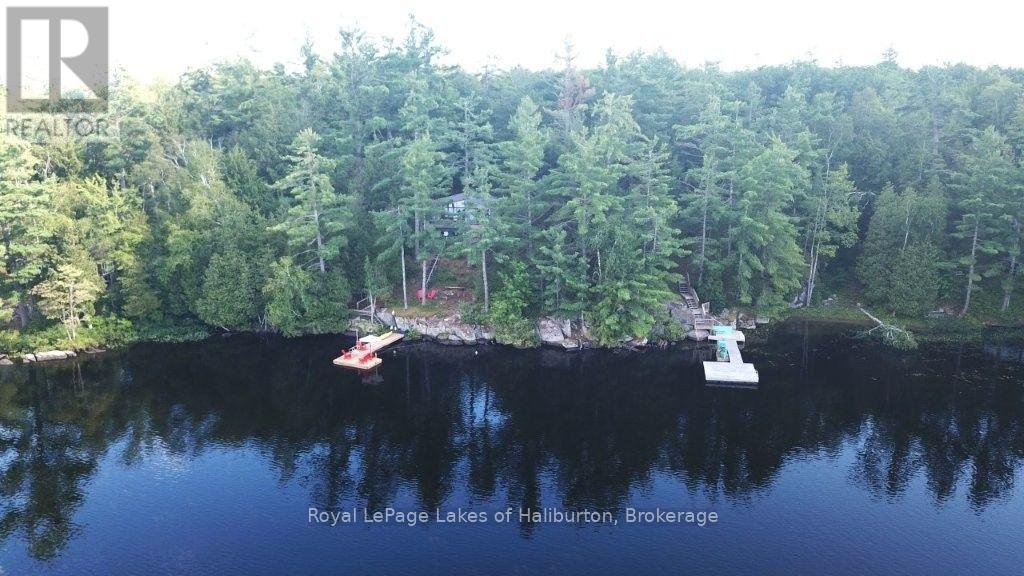 481 Crego Lake Road, Kawartha Lakes (Somerville), Ontario  K0M 2A0 - Photo 6 - X13702802