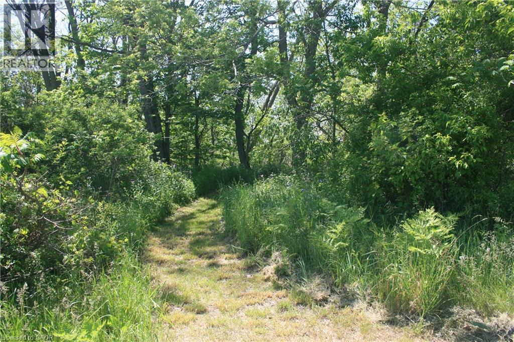 6349a Plank Road, Vienna, Ontario  N0J 1Z0 - Photo 10 - 40794737