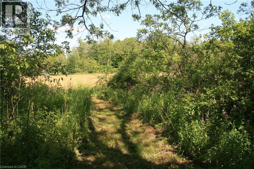 6349a Plank Road, Vienna, Ontario  N0J 1Z0 - Photo 19 - 40794737