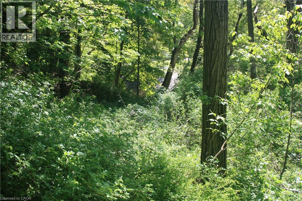 6349a Plank Road, Vienna, Ontario  N0J 1Z0 - Photo 16 - 40794737