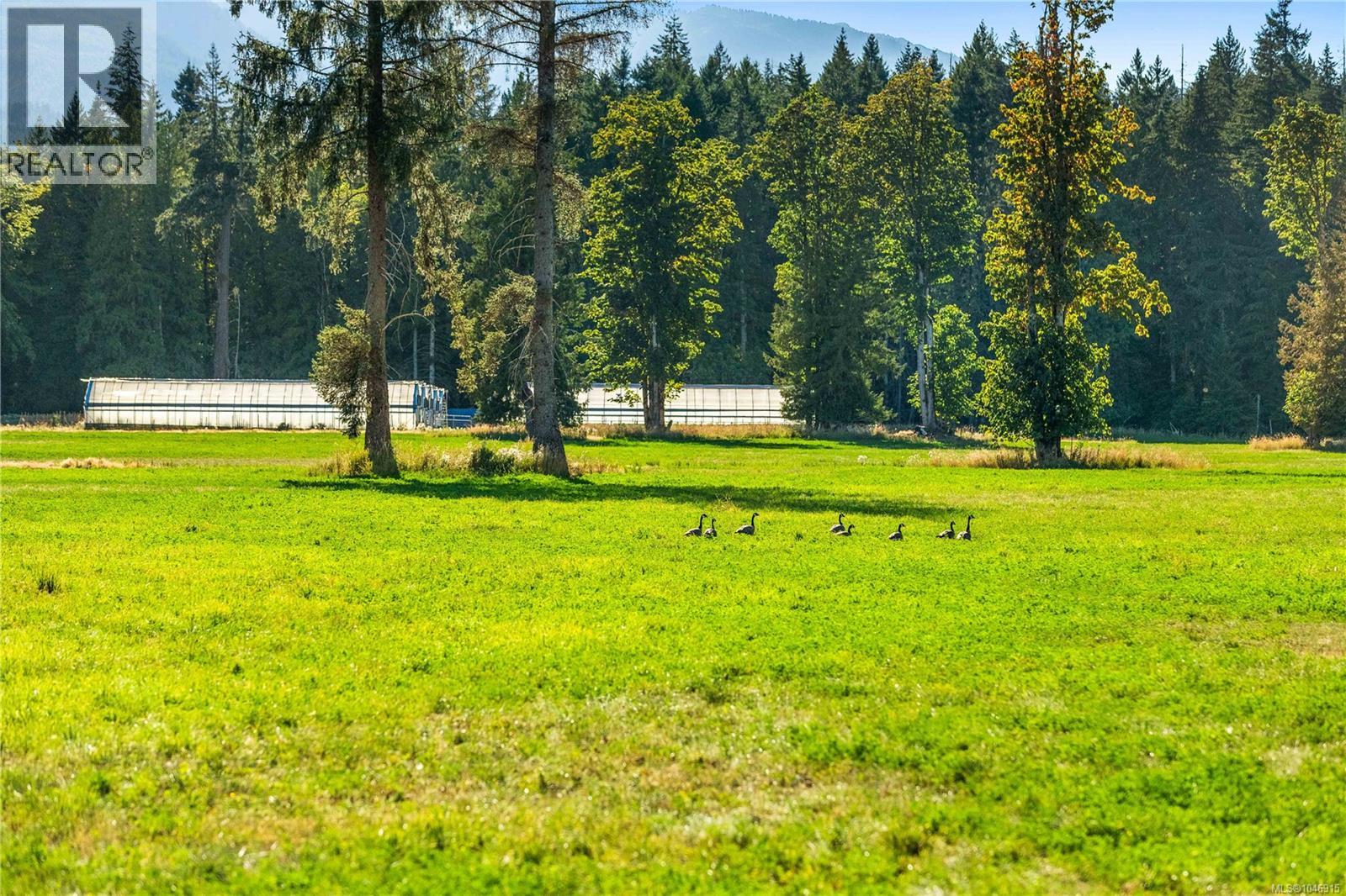 Lot 1 Wavell Rd, Fanny Bay, British Columbia V0R 1W0 - Photo 23 - 1046915
