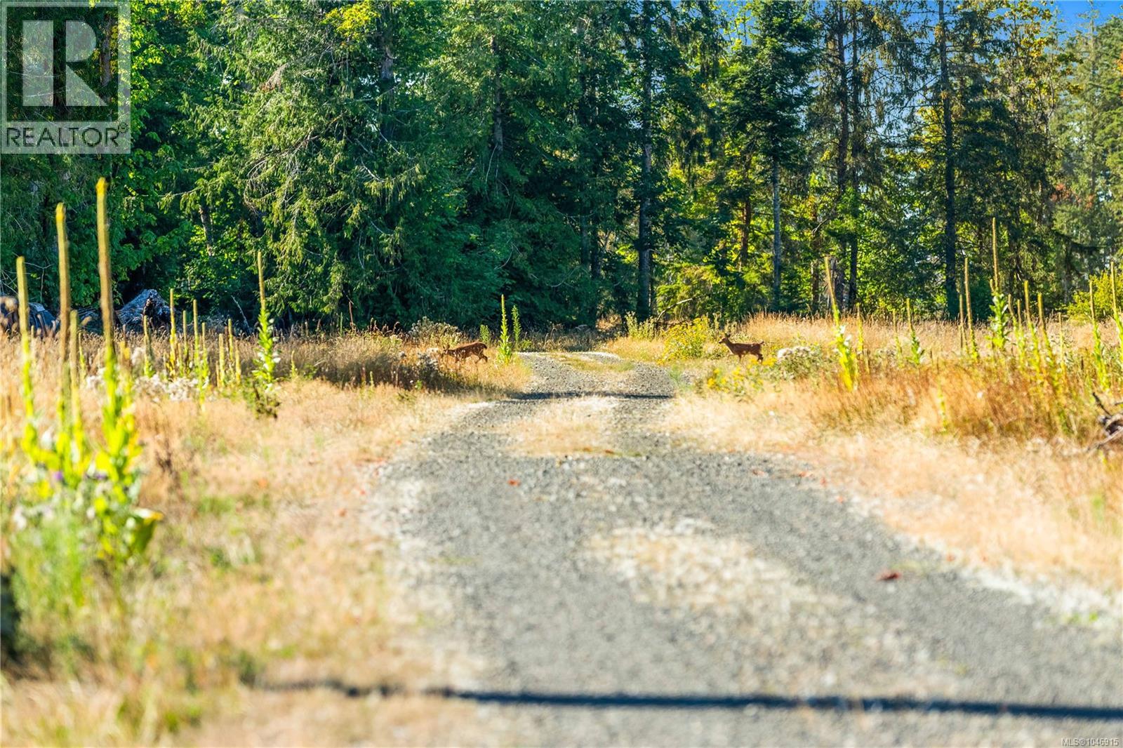 Lot 1 Wavell Rd, Fanny Bay, British Columbia V0R 1W0 - Photo 13 - 1046915