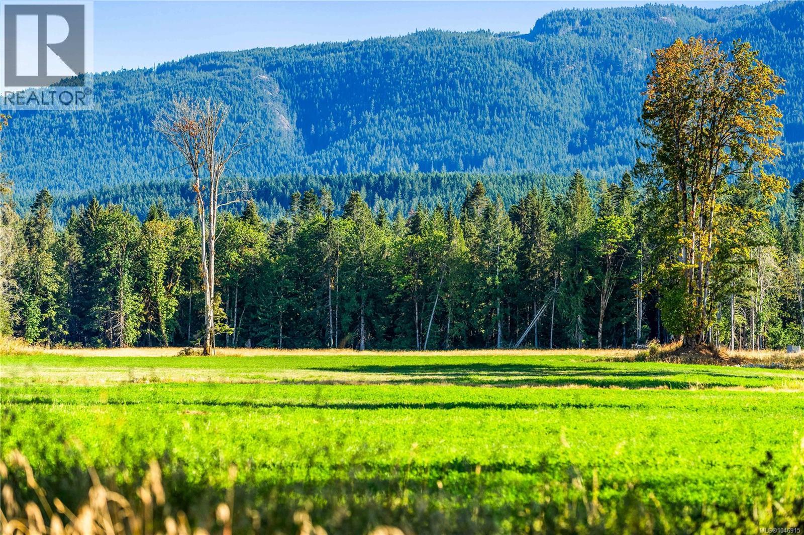 Lot 1 Wavell Rd, Fanny Bay, British Columbia V0R 1W0 - Photo 7 - 1046915