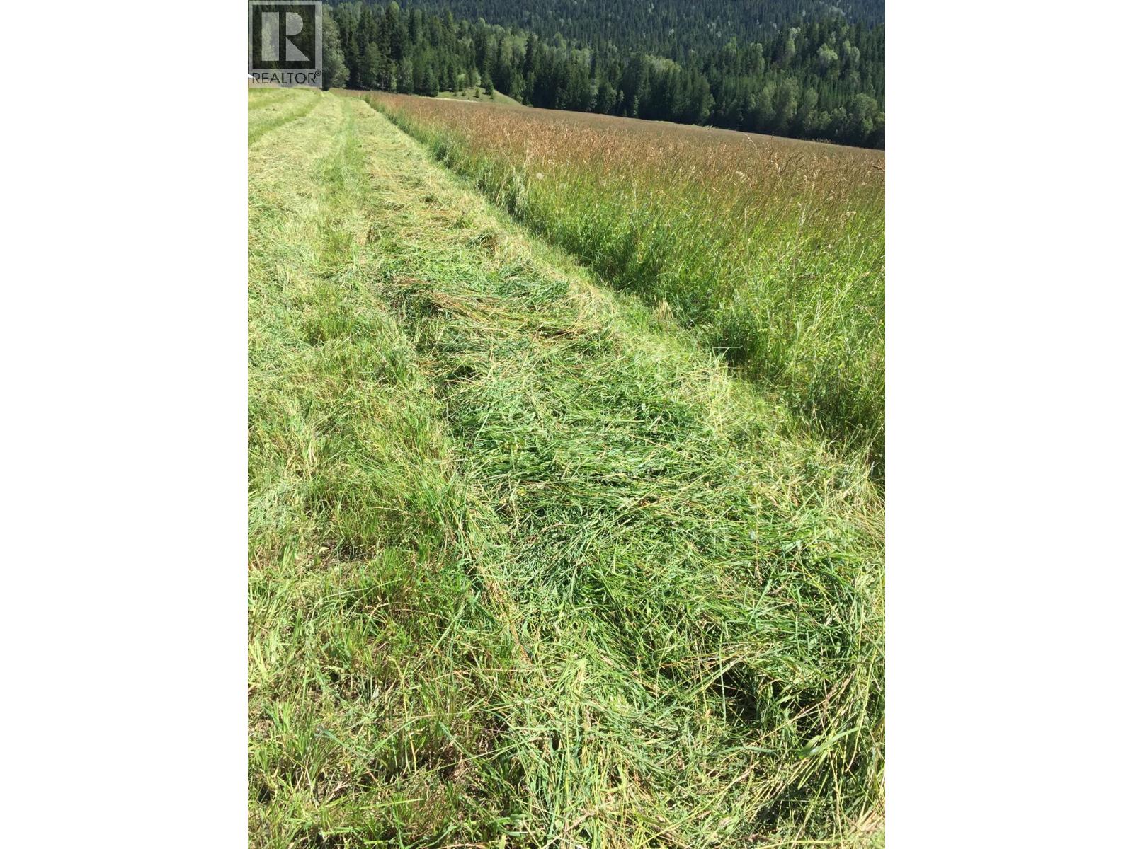 9841 Talbot Road, Nelway, British Columbia  V0G 1Z0 - Photo 23 - 10372904