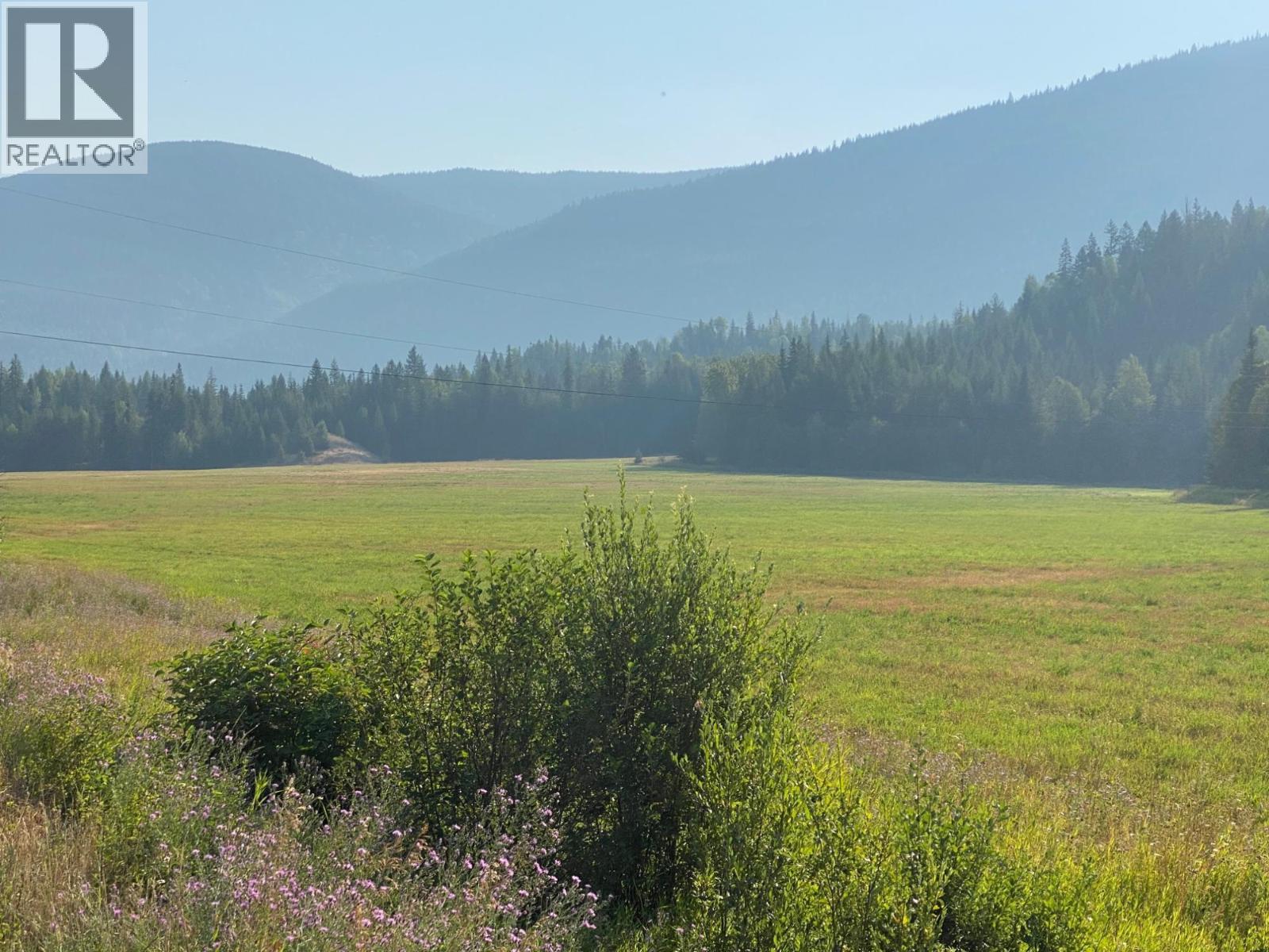 9841 Talbot Road, Nelway, British Columbia  V0G 1Z0 - Photo 22 - 10372904