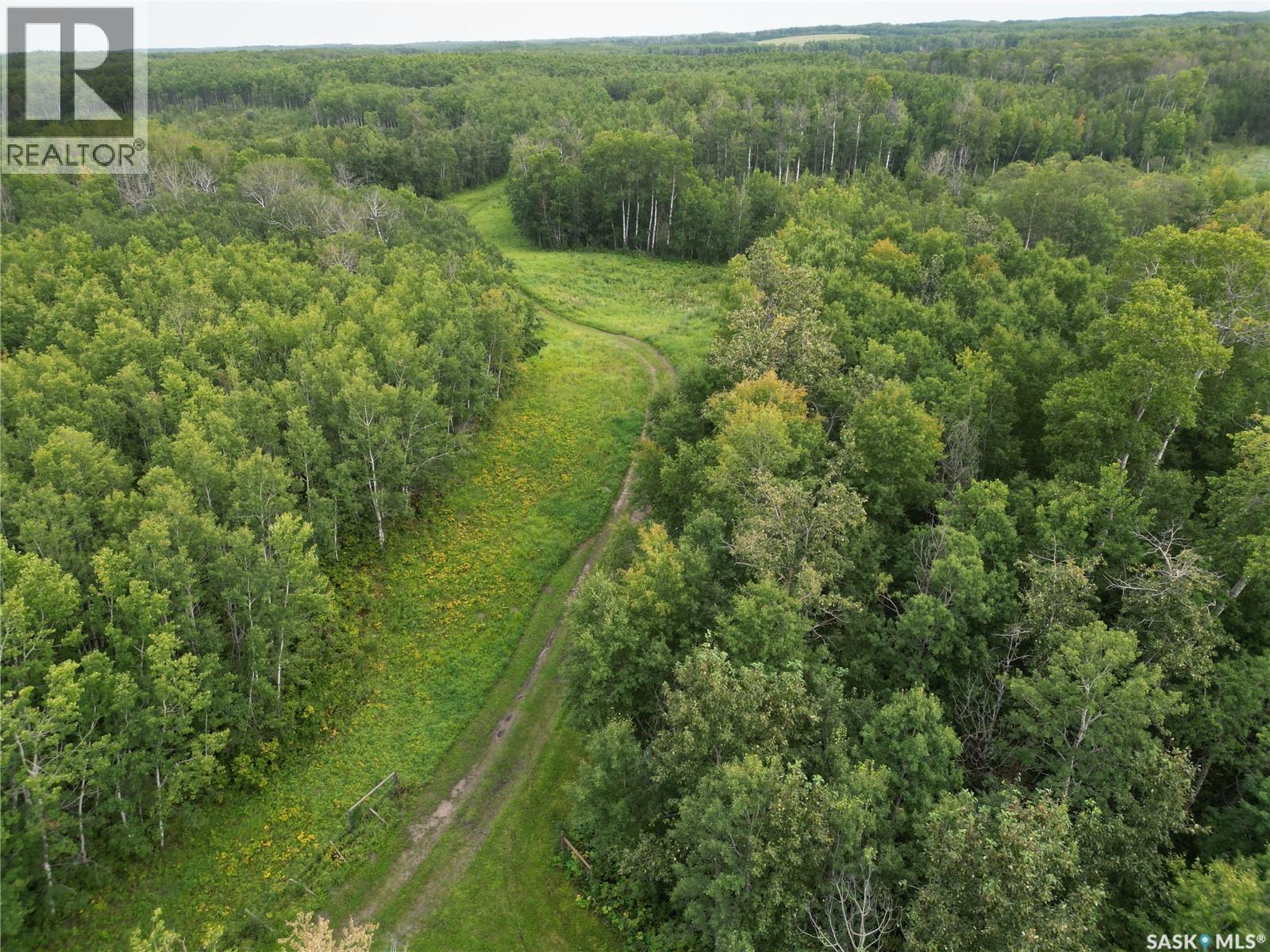 Larson Lake Waterfront Cabins + 3 Quarters Of Land, Spiritwood Rm No. 496, Saskatchewan S0J 2M0 - Photo 46 - SK046332