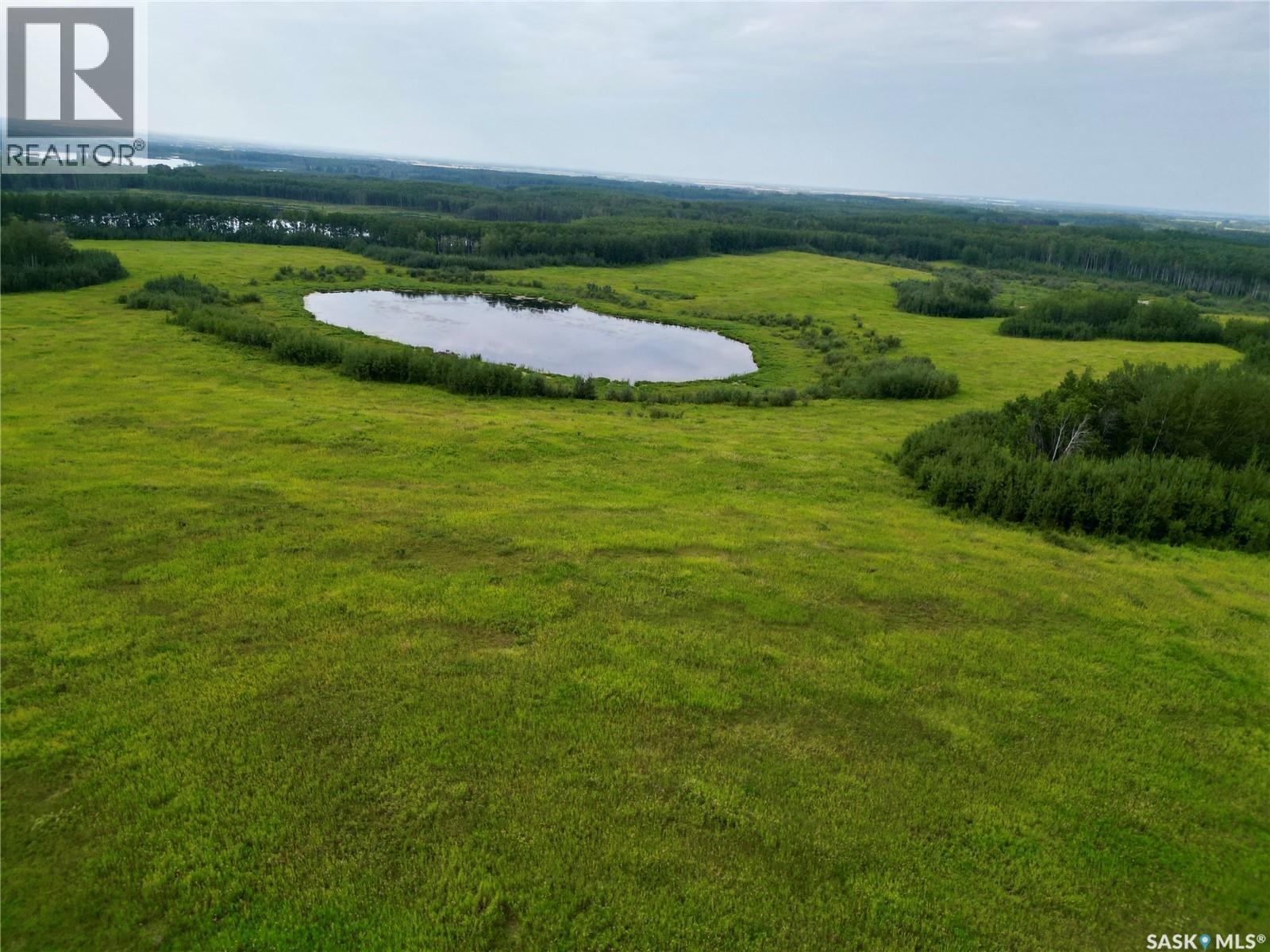 Larson Lake Waterfront Cabins + 3 Quarters Of Land, Spiritwood Rm No. 496, Saskatchewan S0J 2M0 - Photo 47 - SK046332