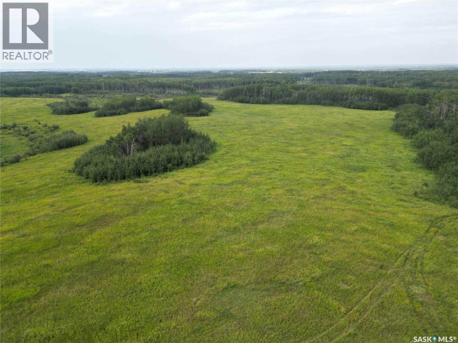 Larson Lake Waterfront Cabins + 3 Quarters Of Land, Spiritwood Rm No. 496, Saskatchewan S0J 2M0 - Photo 49 - SK046332