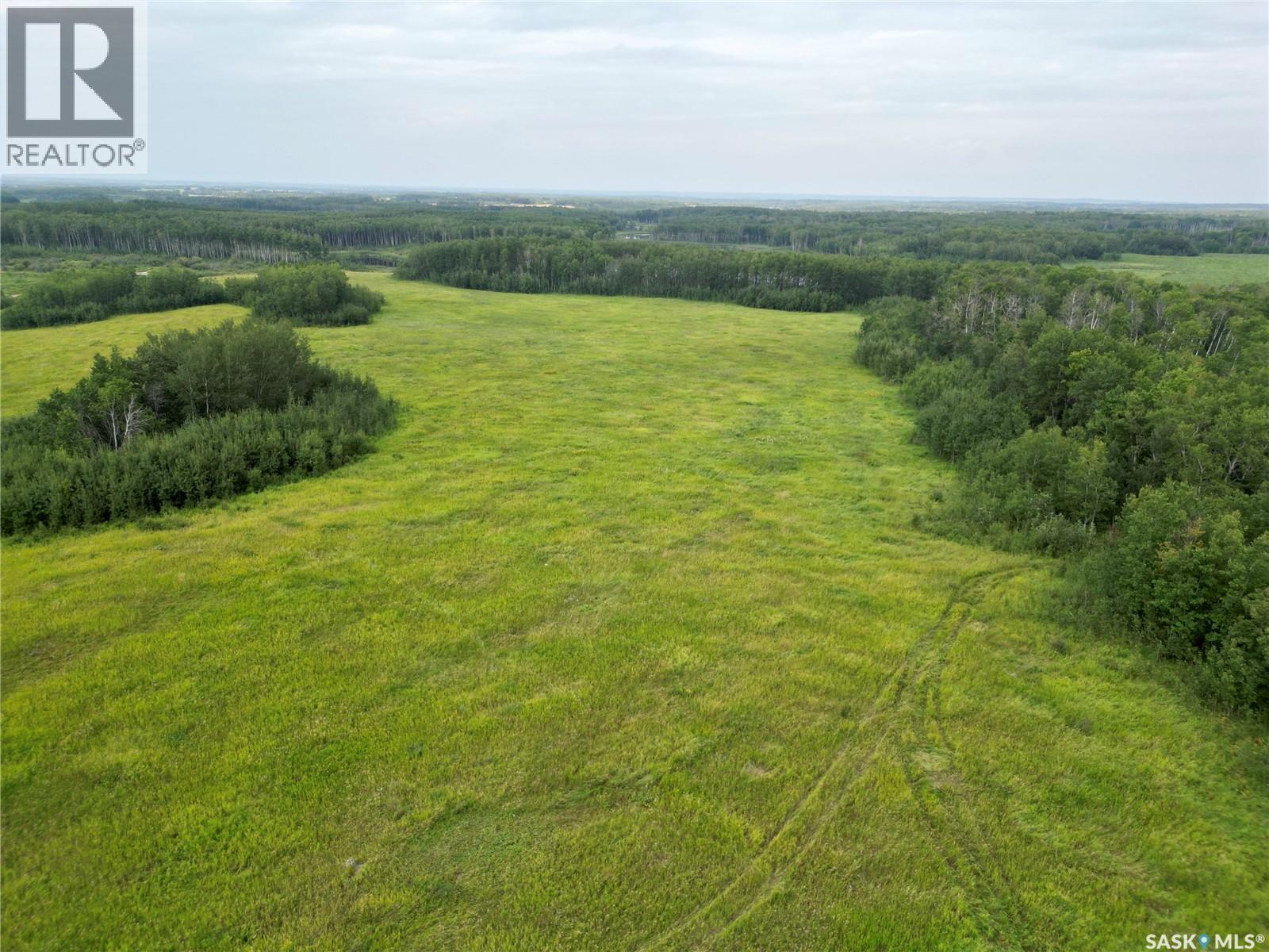 Larson Lake Waterfront Cabins + 3 Quarters Of Land, Spiritwood Rm No. 496, Saskatchewan S0J 2M0 - Photo 50 - SK046332