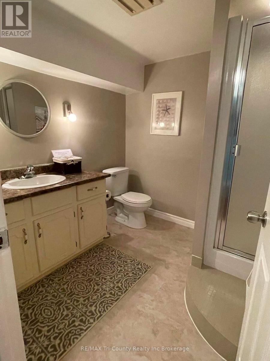 173 Carroll Street W, Strathroy-Caradoc, Ontario  N7G 3P8 - Photo 32 - X13703032