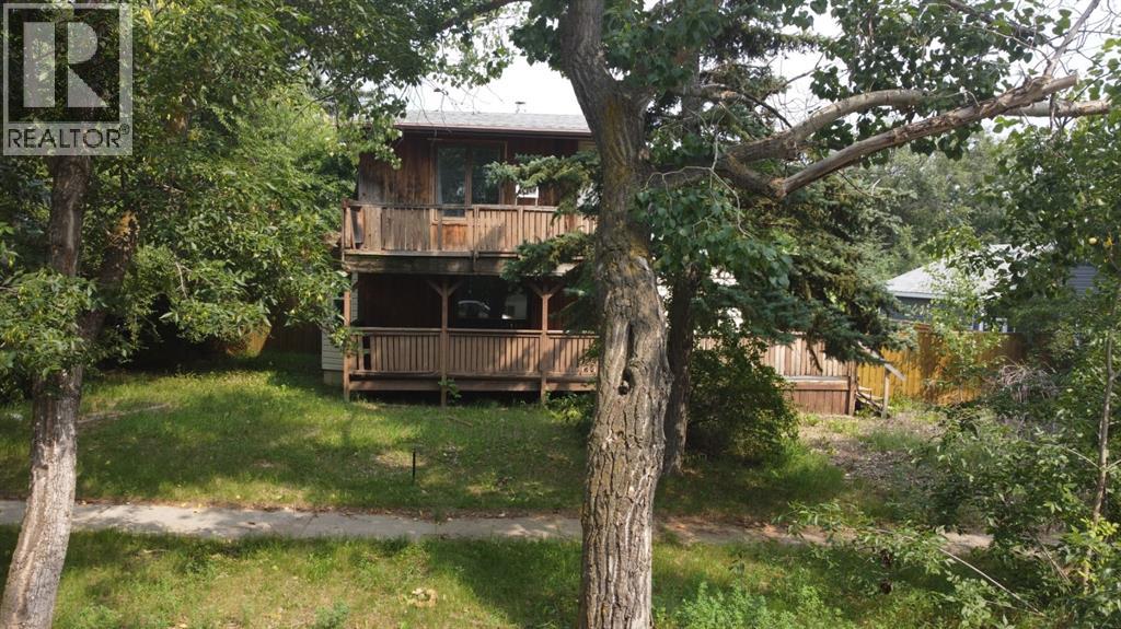 5131 51 Street, Consort, Alberta  T0C 1B0 - Photo 4 - A2271037