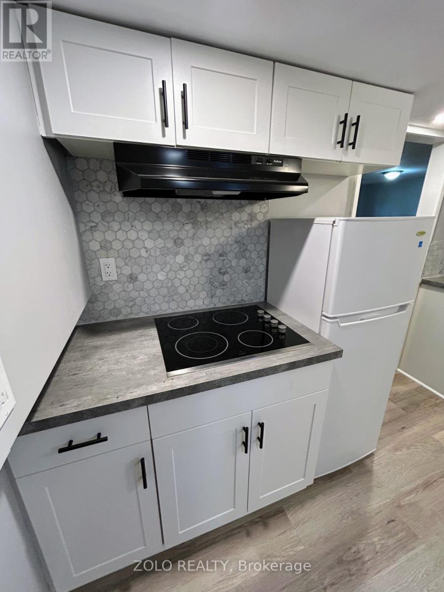 Lower - 3 Old York Crescent, Kitchener, Ontario  N2B 3G2 - Photo 4 - X13703230