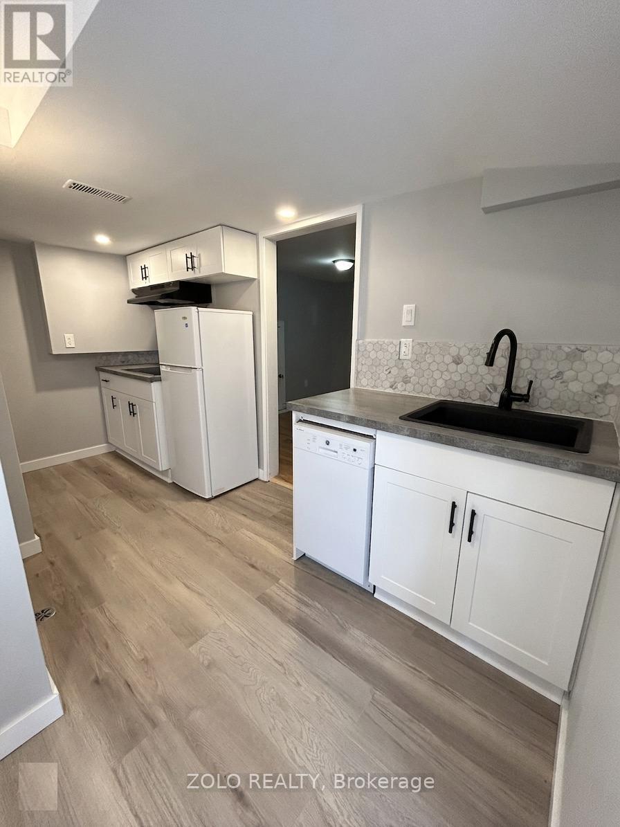 Lower - 3 Old York Crescent, Kitchener, Ontario  N2B 3G2 - Photo 5 - X13703230