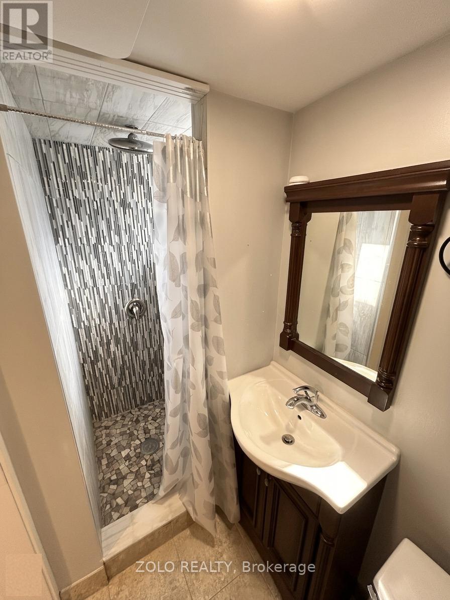 Lower - 3 Old York Crescent, Kitchener, Ontario  N2B 3G2 - Photo 7 - X13703230